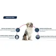 Shop Affinity Advance Urinary Dog Food Online – PetMedicine.co
