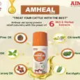 Vet-trusted Aimil Amheal spray fast healing pets PetMedicine.co