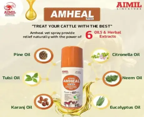 Vet-trusted Aimil Amheal spray fast healing pets PetMedicine.co