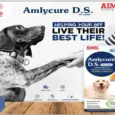 Aimil Amlycure herbal pet liquid for dogs and cats liver health - PetMedicine.co