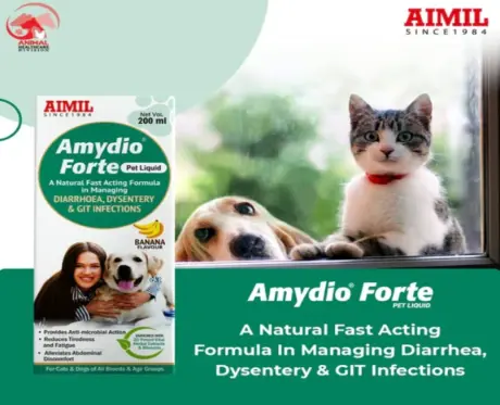 Buy Aimil Amydio Forte liquid supplement for pets online PetMedicine.co