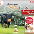 Buy Aimil Amyron supplement for pets online PetMedicine.co