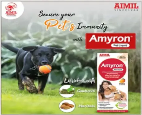 Buy Aimil Amyron supplement for pets online PetMedicine.co