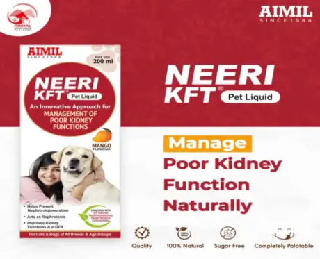 Buy Aimil Neeri KFT Pet Herbal Urinary Support for Dogs and Cats PetMedicine.co