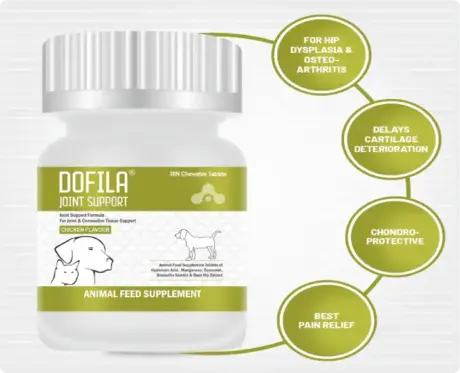 Buy Aranex Dofila Joint Support Supplement Online – PetMedicine.co
