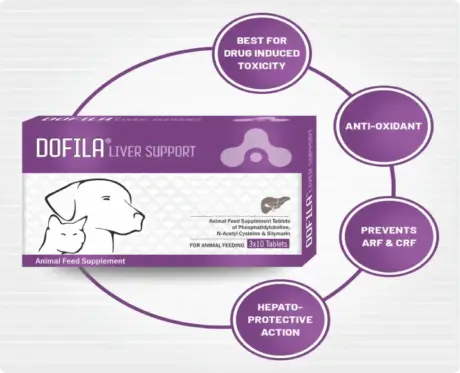 Aranex Dofila Liver Support Tablet for Cats and Dogs 30 Tablets PetMedicine.co