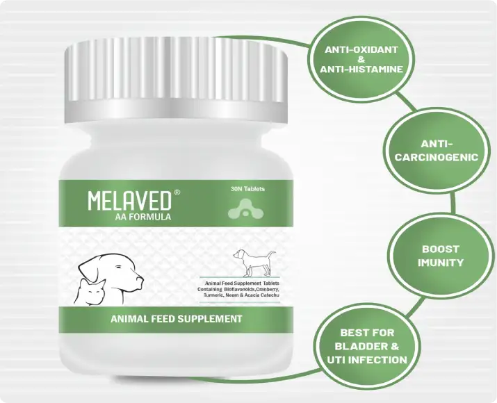 Buy Aranex Melaved Anti Allergy Tablet Online for Pet Allergy Relief – PetMedicine.co