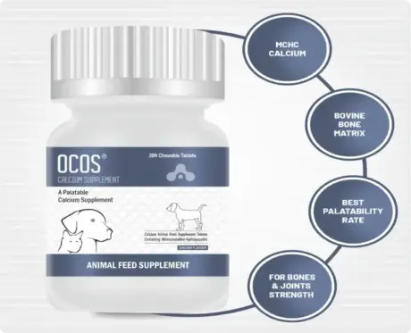 Buy Aranex Ocos Calcium Tablets for Strong Bones & Joints – PetMedicine.co