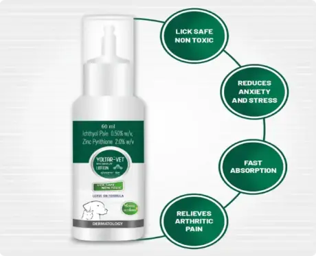 Buy Aranex Yoltar Vet Anti Dandruff Lotion online for pets – PetMedicine.co