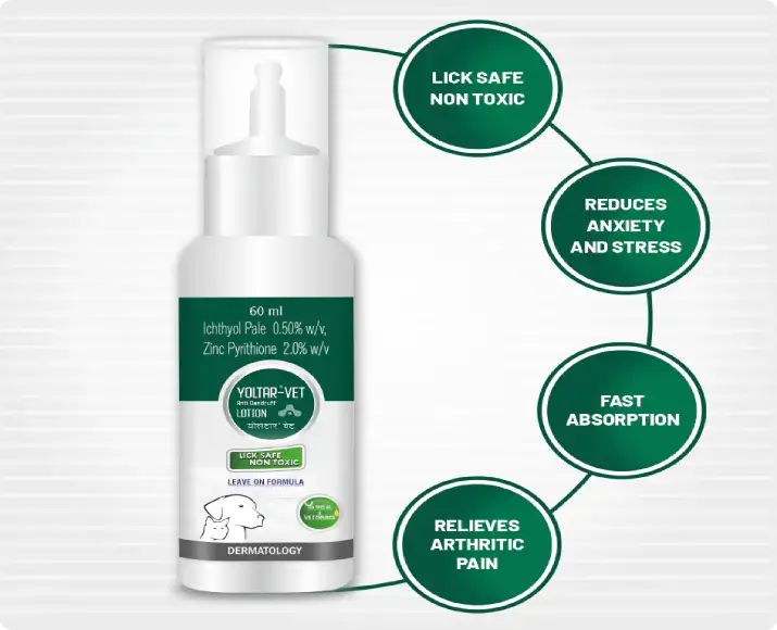 Buy Aranex Yoltar Vet Anti Dandruff Lotion online for pets – PetMedicine.co