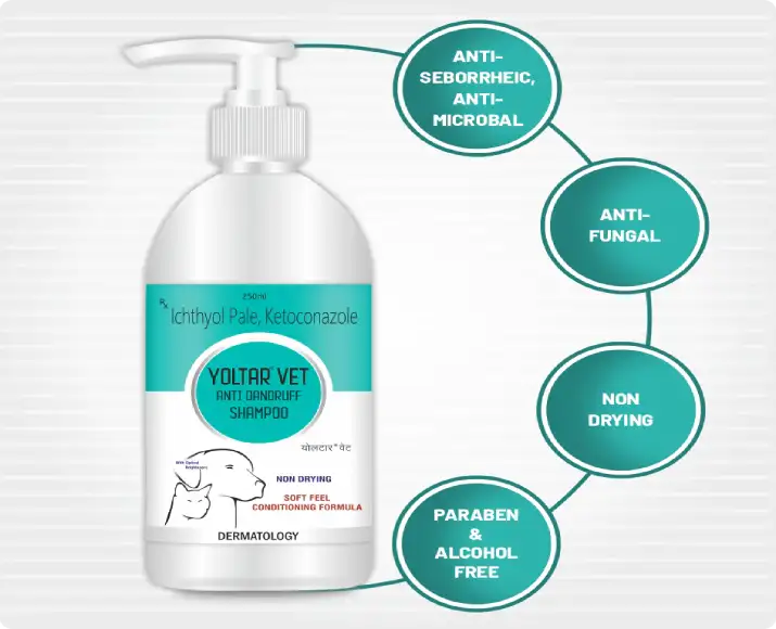 Buy Aranex Yoltar Vet Anti-dandruff Shampoo 250ml Online at PetMedicine.co