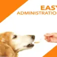 Salmon oil supplement for dogs healthy skin and joints PetMedicine.co