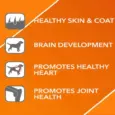 Buy Drools Absolute Salmon Oil syrup for dogs online PetMedicine.co