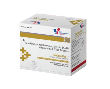 Drools Melibin tablets for dogs liver support – PetMedicine.co