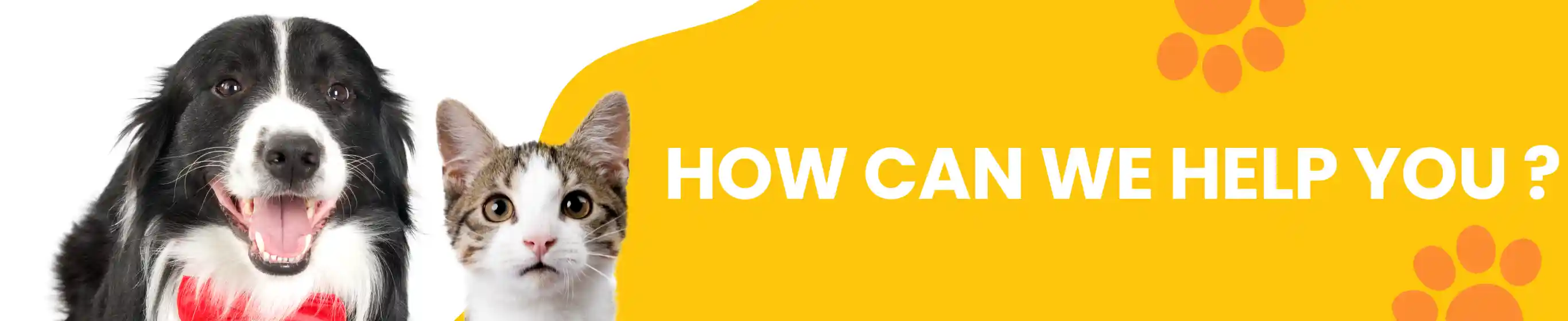 FAQ at PetMedicine.co