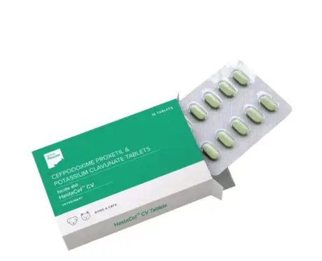 Hester Hestacef CV 325 antibiotic tablet for dogs and cats PetMedicine.co