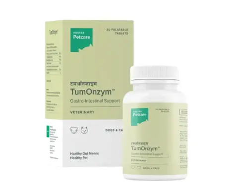 Hester Tumonzym tablets for gastrointestinal support dogs and cats - PetMedicine.co