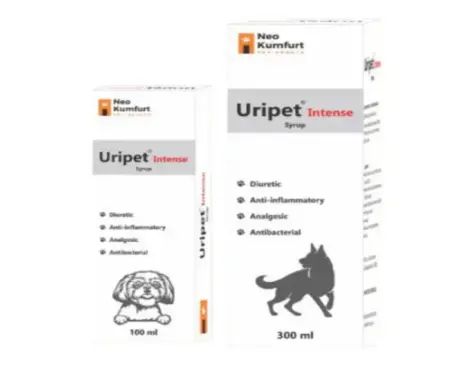 Neo Kumfurt Uripet Intense urinary health syrup for dogs – PetMedicine.co