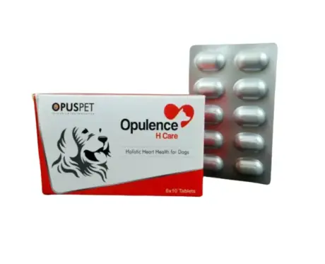 Opus Pet Opulence H Care Tablet for Dogs 60 Capsules – PetMedicine.co