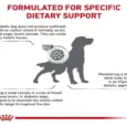Buy Royal Canin Diabetic Dog Food for diabetic dogs – PetMedicine.co