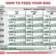 Vet-recommended Royal Canin Diabetic Dry Food for dogs – PetMedicine.co