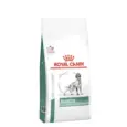 Royal Canin Diabetic Dog Dry Food pack – PetMedicine.co