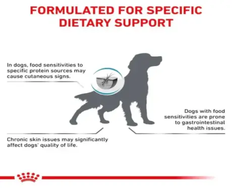 Buy Royal Canin Hypoallergenic Dog Veterinary Food Online from PetMedicine.co