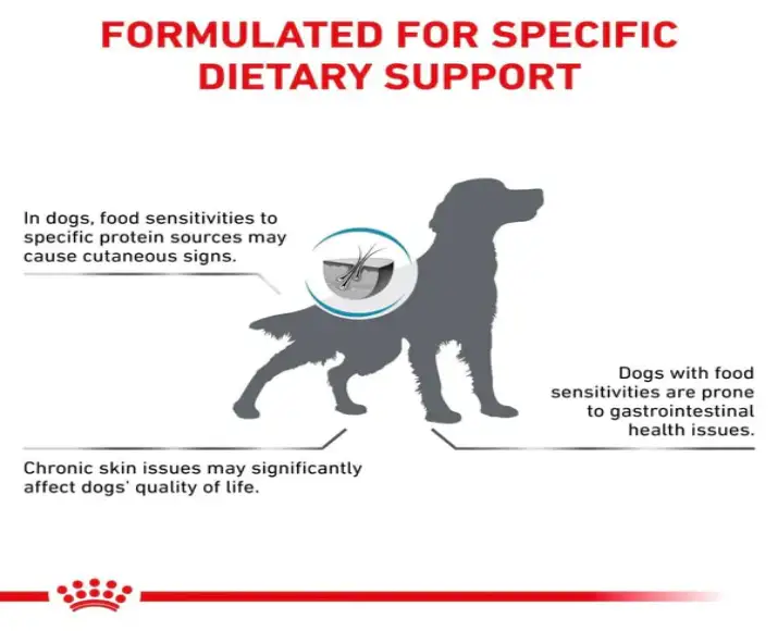 Buy Royal Canin Hypoallergenic Dog Veterinary Food Online from PetMedicine.co