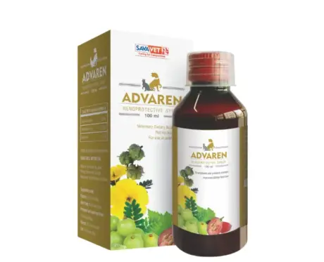 Savavet Advaren Renoprotective Syrup 100ml for Dogs & Cats – PetMedicine.co