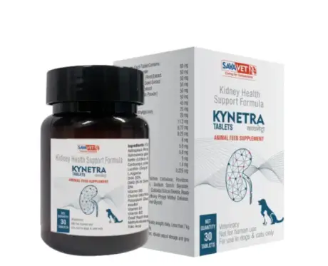 Savavet Kynetra Tablets for kidney health in dogs and cats - PetMedicine.co