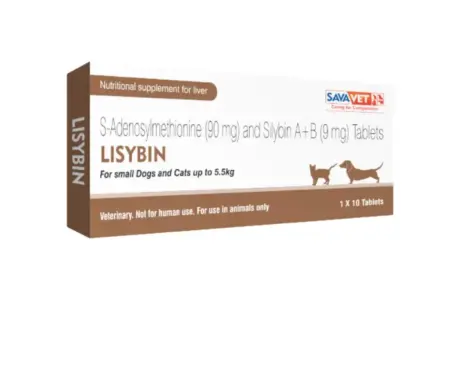 Savavet Lisybin Tablets for Dogs liver health supplement PetMedicine.co