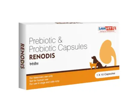 Savavet Renodis capsules for dogs and cats digestive health – PetMedicine.co