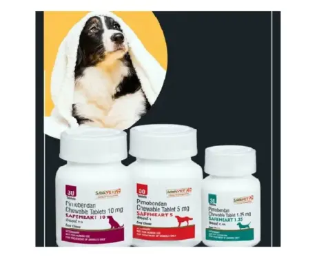 Buy Savavet Safeheart 5 MG Pimobendan Tablets for Dogs Online | PetMedicine.co