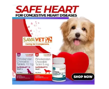Savavet Safeheart 5 MG Cardiac Care Tablets for Dogs | PetMedicine.co