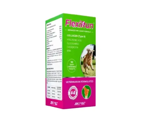 Skyec Flexirun hip & joint tablets for dogs 30 pack – PetMedicine.co