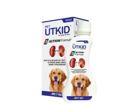 Skyec UTKID kidney support for dogs and cats 200ml – PetMedicine.co