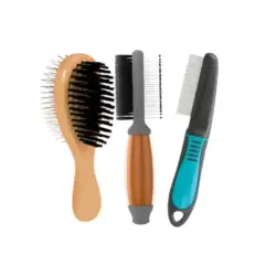 Combs & Brushes