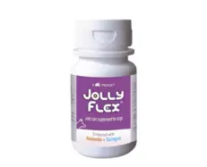 Ttk Jolly Flex joint supplement tablets for dogs – PetMedicine.co