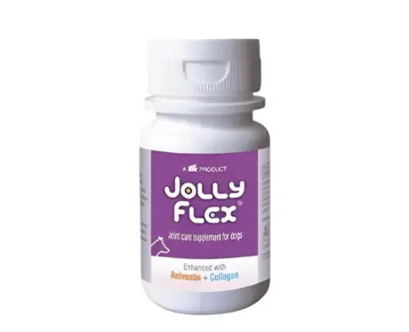 Ttk Jolly Flex joint supplement tablets for dogs – PetMedicine.co