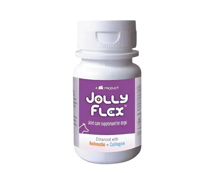 Ttk Jolly Flex joint supplement tablets for dogs – PetMedicine.co