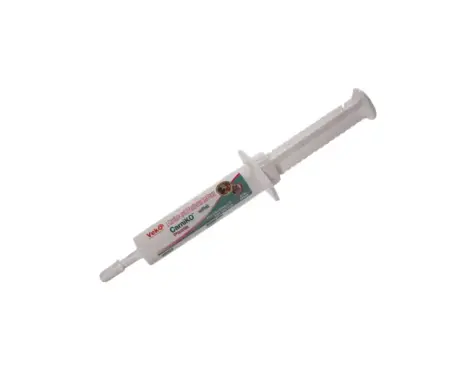 Buy Veko Carniko Oral Paste for Dogs and Cats Online PetMedicine.co