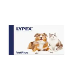 Vetplus Lypex supplement for dogs and cats 60 tablets – PetMedicine.co