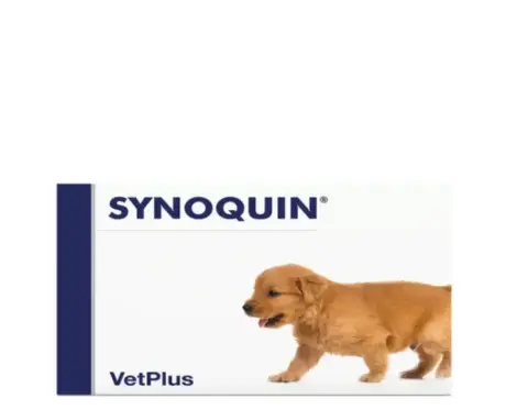 Vetplus Synoquin Growth joint supplement for growing dogs – PetMedicine.co