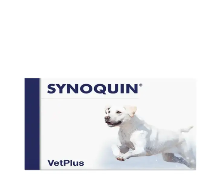 Vetplus Synoquin Large Breed Supplement for Dogs - PetMedicine.co
