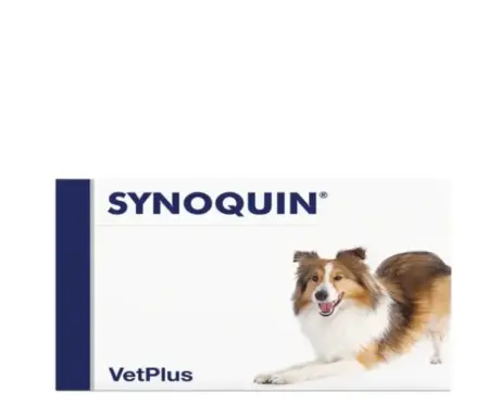 Vetplus Synoquin Medium Breed Joint Supplement for Dogs & Cats PetMedicine.co