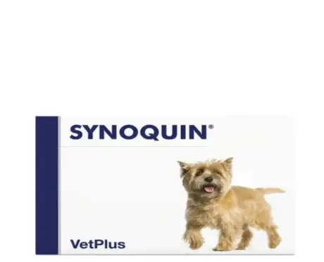 Vetplus Synoquin Small Breed supplement for dogs and cats - PetMedicine.co