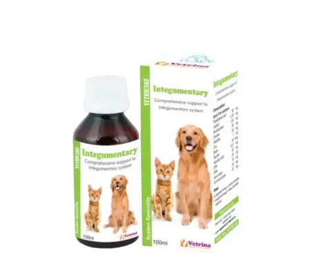 Vetricare Integumentary Syrup for dogs and cats 100ml PetMedicine.co