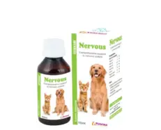 Vetricare Nervous Syrup for Dogs and Cats 100ml calming support – PetMedicine.co