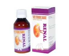 Vetricare Renal Syrup for Dogs and Cats 100ml Kidney Support – PetMedicine.co