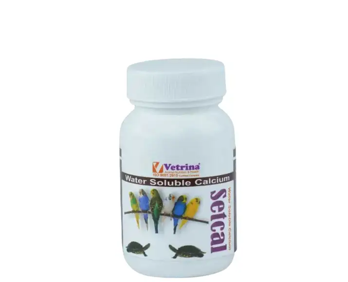 Vetrina Setcal Exotic calcium powder supplement for birds 125gm – PetMedicine.co